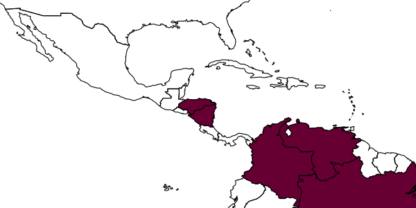 map of Neralsia gracielae     Jiménez & Pujade-Villar, in Jiménez et al., 2005
